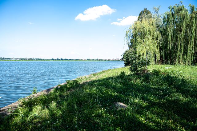 Mantova InternoVerde Acqua1