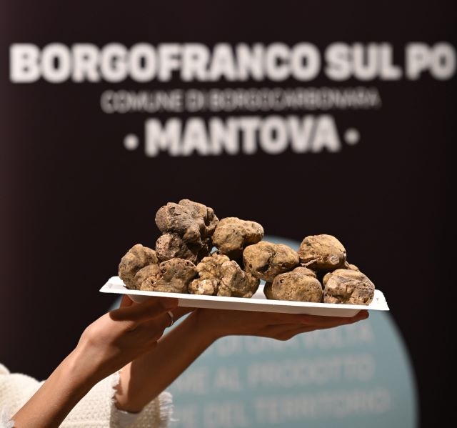 BorgofrancoSulPo FieraDelTartufo Locandina