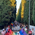 Solferino, oltre trecento persone alla Camminata per la Pace